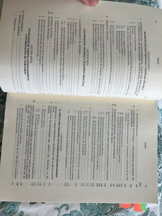 Lecciones de Derecho procesal civil 9ª edición