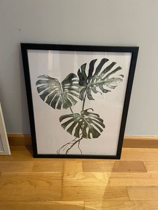 Ilustración Monstera Ikea Marco Negro