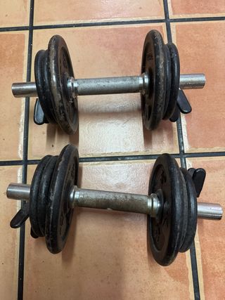 Mancuernas 10 kg (par)