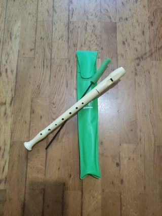 Funda Flauta Hohner Negra