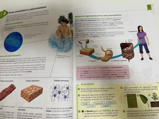 Ciencias de Naturaleza 5 Primaria