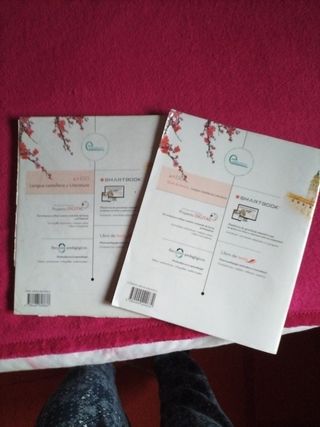 LA+SB Lengua castellana y Literatura 4 ESO + gu...