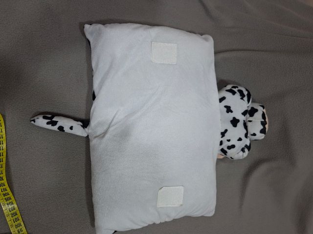 Mucca 4: due cuscini identici