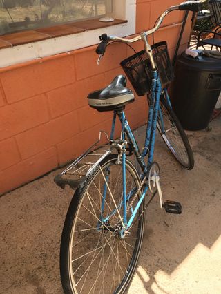 Bicicleta paseo retro ruedas 29