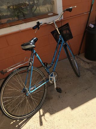 Bicicleta paseo retro ruedas 29