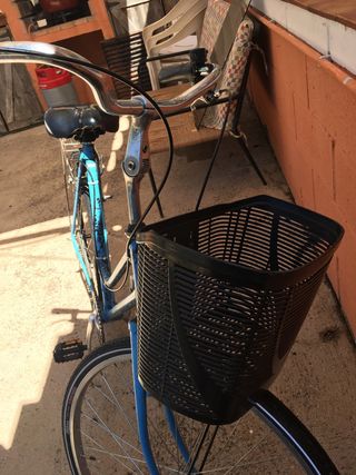 Bicicleta paseo retro ruedas 29