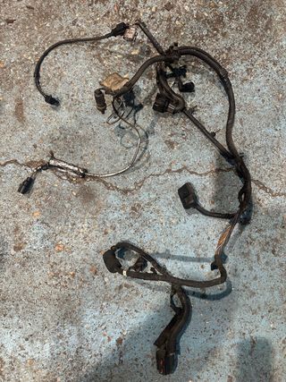 Cableado Seat Ibiza 1.9 TDI