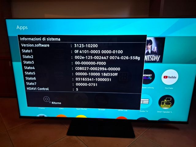 TV Panasonic 55 pollici