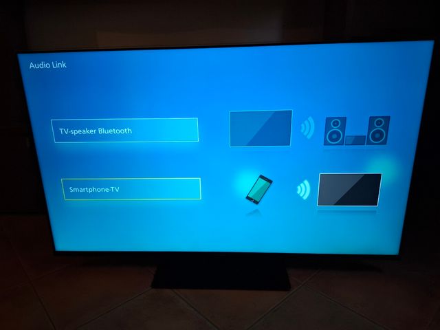 TV Panasonic 55 pollici