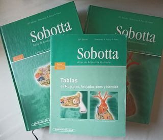 Sobotta. Atlas de Anatomía Humana