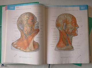 Sobotta. Atlas de Anatomía Humana