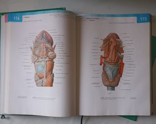 Sobotta. Atlas de Anatomía Humana