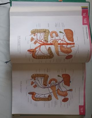 Sobotta. Atlas de Anatomía Humana