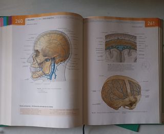 Sobotta. Atlas de Anatomía Humana