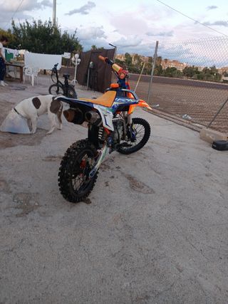 Pitbike Rebel Master 160cc