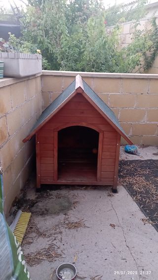 Caseta perro madera grande