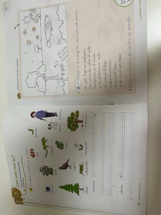 Ciencias de la Naturaleza 1 Primaria