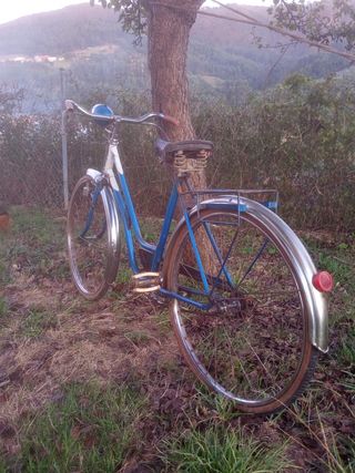 Bicicleta BH Varillas Años 60 Original  
