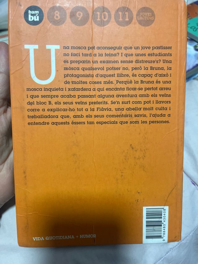 La Bruna i el bloc B