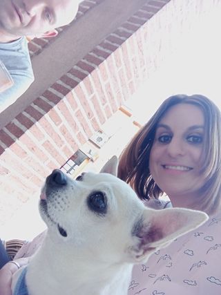 Paseadora de perros