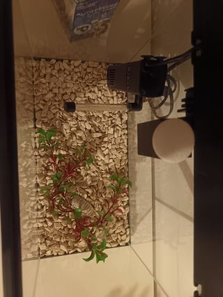 Pecera agua dulce con filtro 35x17 y 25 profund