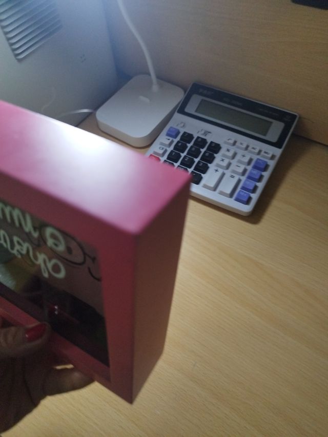 Hucha Ahorra o Nunca Rosa