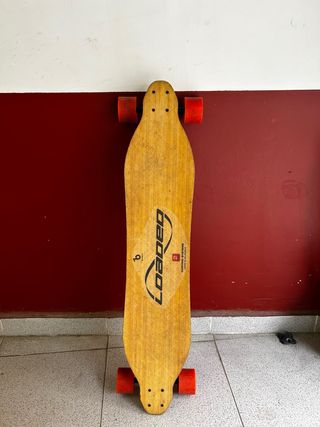 Longboard 2Flex Loaded Carving Systems