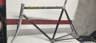 Cuadro Vitus Carbón Queblat