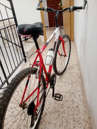 Bicicleta de montaña TOPBIKE