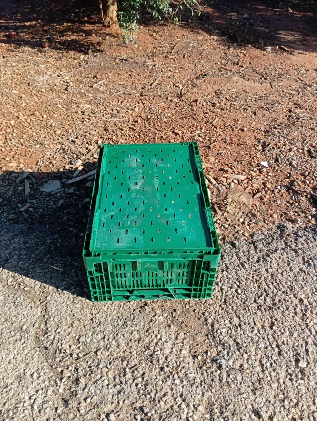 Scatole di plastica verdi rimovibili e impilabili