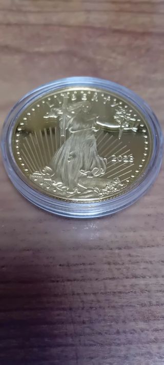 monete americane placcate 24 carati