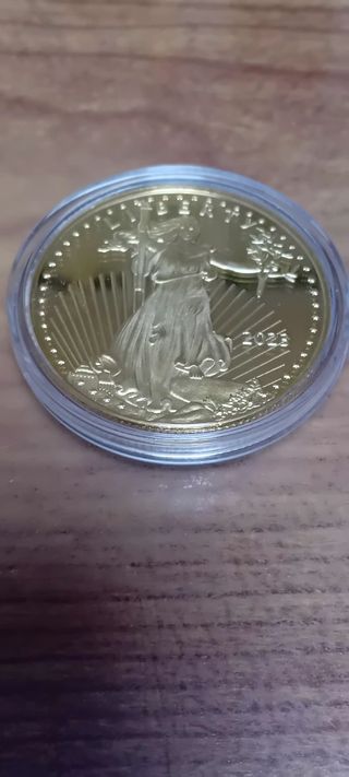 monete americane placcate 24 carati