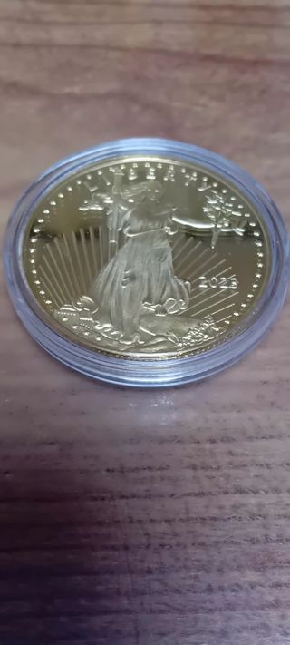 monete americane placcate 24 carati