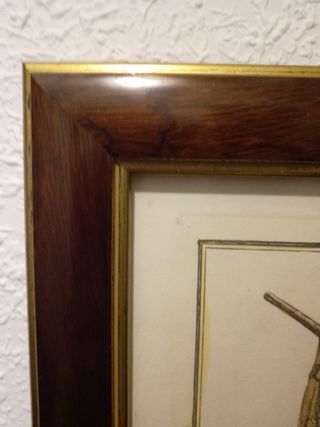 Cuadro con marco de madera. Panel Vidrio.