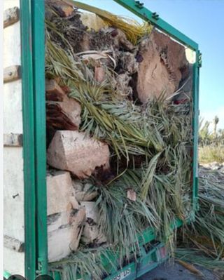 PORTES DE PODA.