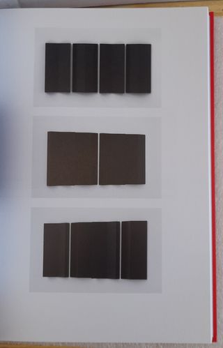 Charlotte Posenenske: work in progress