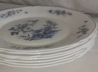 9€ cada plato. Hondos, llanos y postre Arc Kalinka