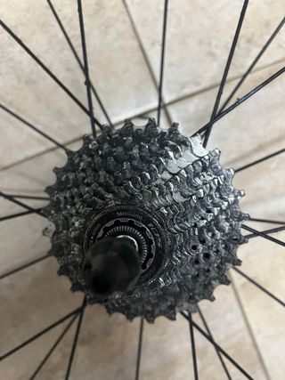 Rueda con cubierta para rodillo