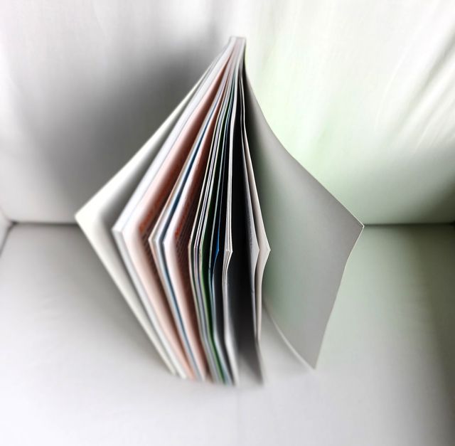 Mi Embarazo: Diario Semanal Nueve Meses Gestación