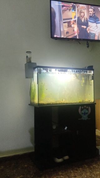 Acuario Negro y Transparente