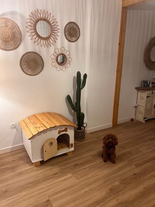 Casa de madera para mascotas hecha a mano