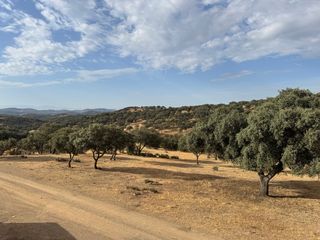 Finca dehesa, labor y olivar
