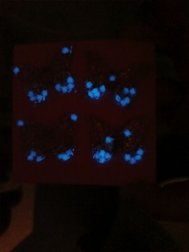 Pendientes Mariposa Dorados