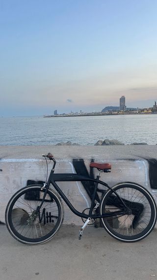 Bicicleta negra estilo cruiser
marca Honda