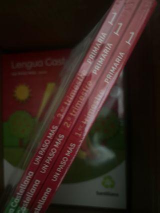 LENGUA UN PASO MAS PAUTA M LIGERA 1 PRIMARIA CO...