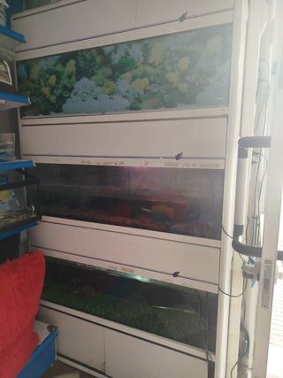 Módulo de 3, con filtros y termocalentador