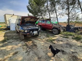 Despiece Nissan Terrano 2 Bifaro