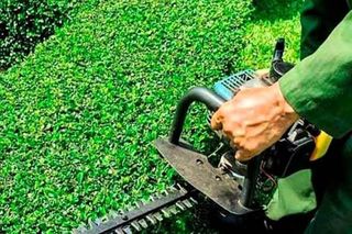 Servicios completos de jardinería