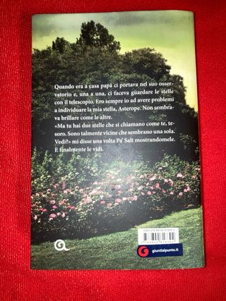 Libro “La Ragazza Nell’Ombra”-Le Sette Sorelle.