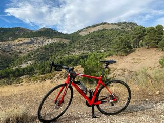Bicicleta Carretera Wilier Roja
todo ultegra 